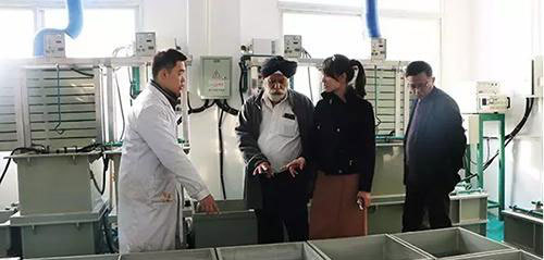 技术为帆，绿动全球 迪赛环保以创新驱动环保材料研发，开拓国际市场